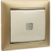 Legrand 1-кл. СП Valena 10А IP31 250В с зел. индикацией сл. кость Leg 774310