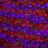 Neon-Night 215-033 ∙ Гирлянда "Сеть" 2,5х2,5м, черный ПВХ, 432 LED Красные/Синие