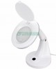 Rexant 31-0243 | Лупа настольная 3D+12D REXANT с подсветкой 60 LED, белая