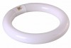 Rexant 31-0801 | Лампа REXANT кольцевая люминесцентная Ø30 мм, 22 Вт