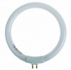 Rexant 31-0808 | Лампа REXANT кольцевая люминесцентная, 12 Вт