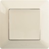 752501 ∙ Legrand Valena LIFE.Выключатель 10АХ 250В с лицевой панелью.Безвинтовые зажимы.Слоновая кость