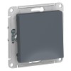 Schneider Electric ATN000711 ∙ Systeme Electric AtlasDesign Грифель Выключатель 1-клавишный сх.1, 10АХ, механизм