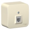 Schneider Electric BLNIA011002 ∙ Systeme Electric Blanca наруж Молочная Розетка ТЛФ RJ11 изолир. пластина