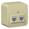 Schneider Electric BLNIA045457 ∙ Systeme Electric Blanca наруж Беж Розетка 2-ая компьютерная RJ45, кат.5E, изолир. пластина