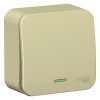 Schneider Electric BLNVA101117 ∙ Systeme Electric Blanca наруж Беж Выключатель 1-клавишный (cх.1) с подсветкой, изолир. пластина 10А,250B