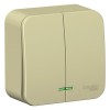 Schneider Electric BLNVA105117 ∙ Systeme Electric Blanca наруж Беж Выключатель 2-клавишный (cх.5) с подсветкой, изолир. пластина 10А,250B