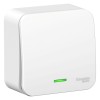 Schneider Electric BLNVA106111 ∙ Systeme Electric Blanca наруж Бел Переключатель 1-клавишный с подсветкой 10А, 250B, изолир. пластина