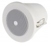 CVGaudio CRW4T