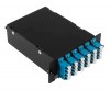 Cabeus FO-4K-6QLC/U-2MPO/A(m)-SM(A1)-BK-T (12542c)