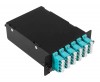 Cabeus FO-4K-6QLC/U-2MPO/U(m)-MM503-BK-T (12544c)