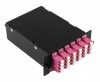 Cabeus FO-4K-6QLC/U-2MPO/U(m)-MM504-BK-T (12543c)