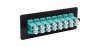Cabeus FO-FP-4K-8DLC/SM-BL-BK-T (12530c)