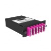 Cabeus FO-OM4-2x12MPO(m)/U-24xLC/U-A-BK (11994c)