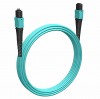 Cabeus FOP-50-OM3-12-MPO(F)-12-MPO(M)-B-7m (11925c)