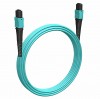 Cabeus FOP-50-OM3-8-MPO(F)-8-MPO(F)-B-10m (11930c)