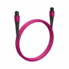 Cabeus FOP-50-OM4-12-MPO(F)-12-MPO(F)-B-10m (11876c)