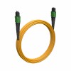 Cabeus FOP-9-12-MPO(F)-12-MPO(M)-B-7m (11961c)