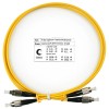 Cabeus FOP(d)-9-FC-FC-1m (7490c)