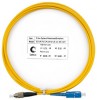 Cabeus FOP(s)-9-SC-FC-25m (8365c)