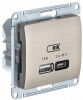 GSL000429 ∙ Systeme Electric Glossa Титан USB Розетка A + тип-C 45W высокоскор.заряд. QC, PD, мех.