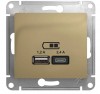 GSL000439 ∙ Systeme Electric Glossa Титан Розетка USB A+С, 5В/2,4А, 2х5В/1,2А