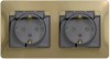 GSL000447 ∙ Systeme Electric Glossa Титан Розетка 2-ая с/з, со шторками, в сборе, IP44
