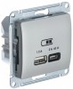 GSL001229 ∙ Systeme Electric Glossa Платина USB Розетка A + тип-C 45W высокоскор.заряд. QC, PD, мех.
