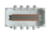 Магнито-Контакт КСП-20 АЯКС IP66 Wago