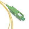 Cabeus PT-SC/APC-9-10m (8304c)