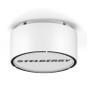 Stelberry F-310W